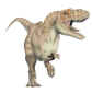 Albertosaurus.jpg (50837 bytes)